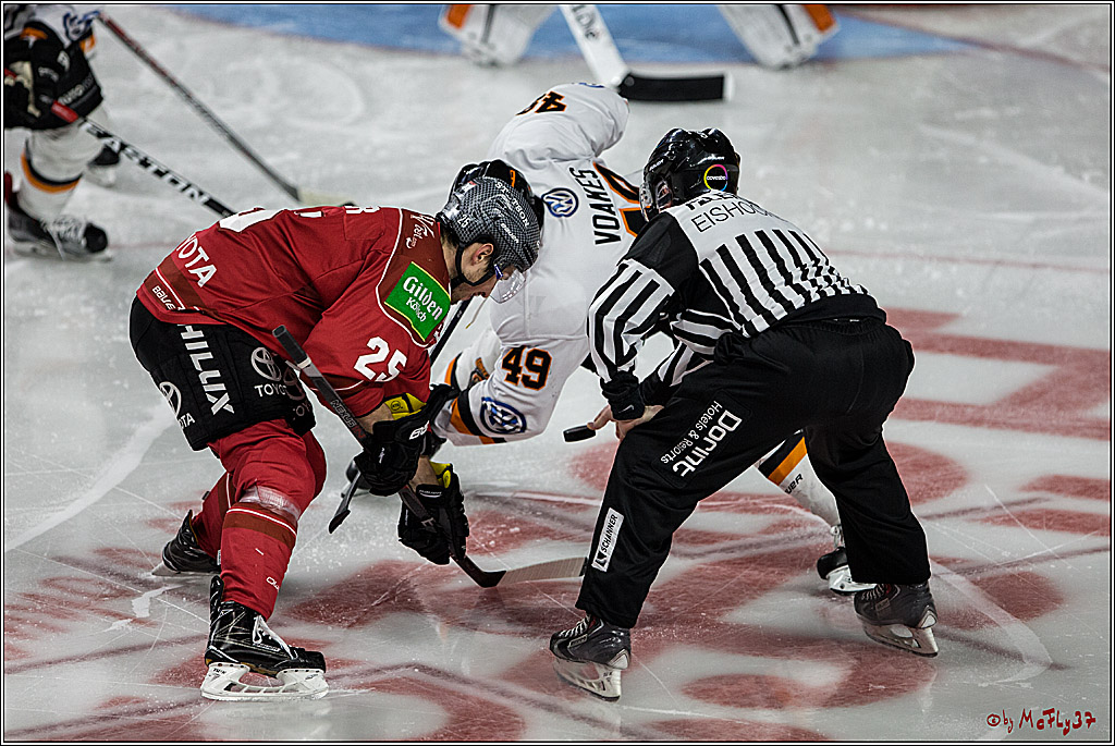 DEL, Koelner Haie - Grizzlys Wolfsburg, 12.03.2017